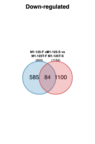 Venn diagram — example output