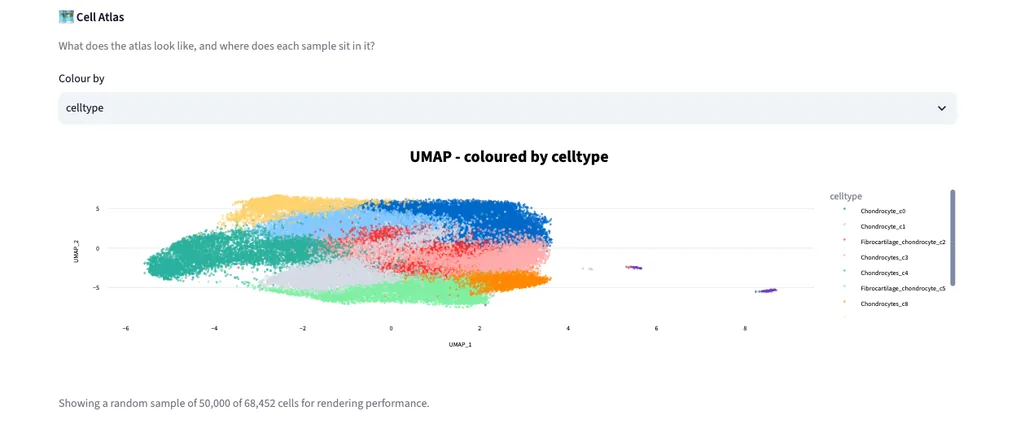 Cell Atlas — example output