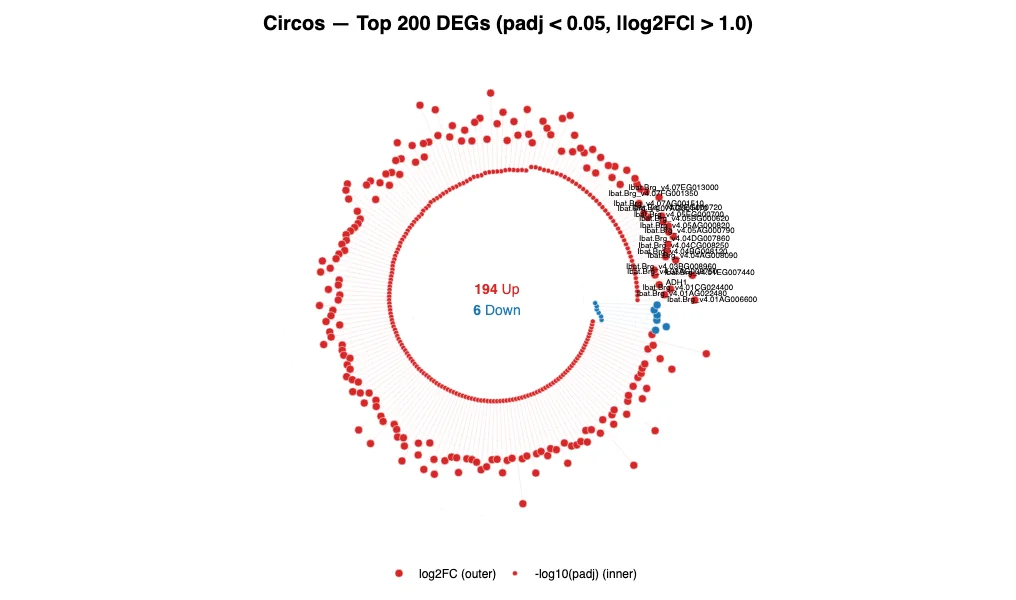Circos plot — example output