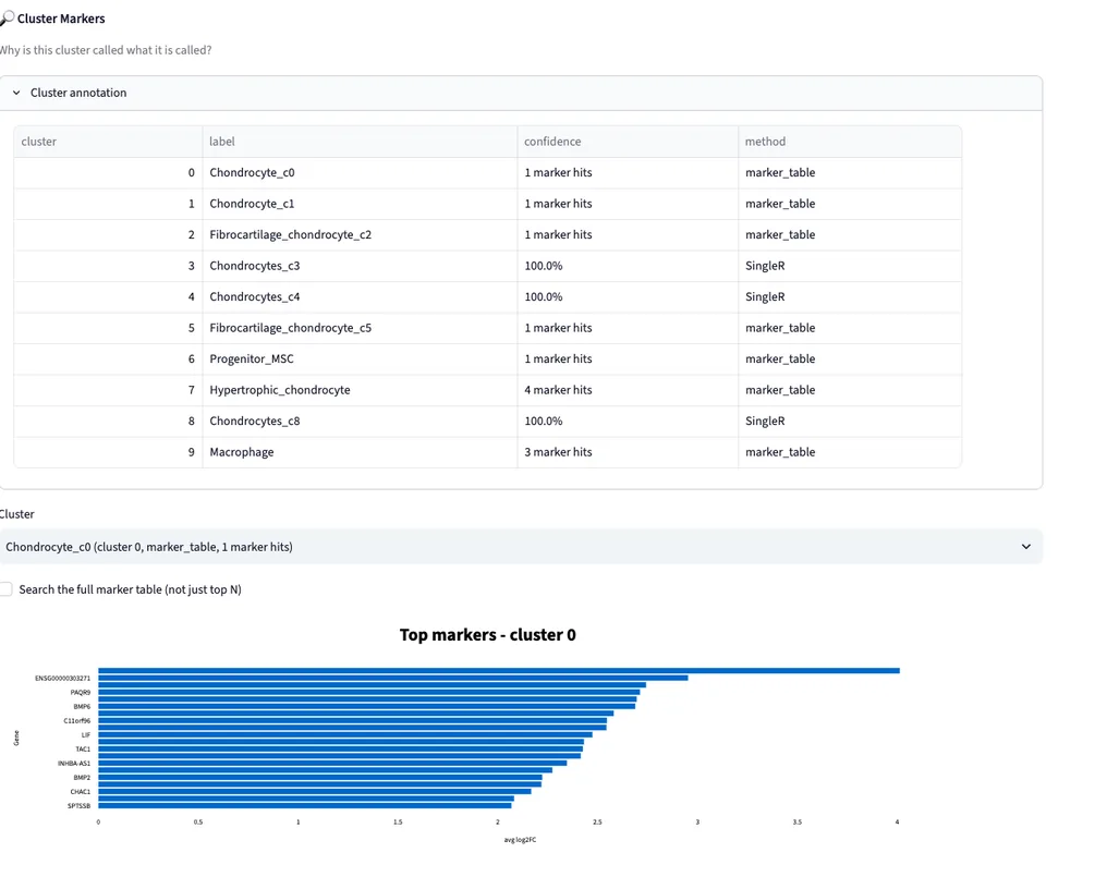 Cluster Markers — example output