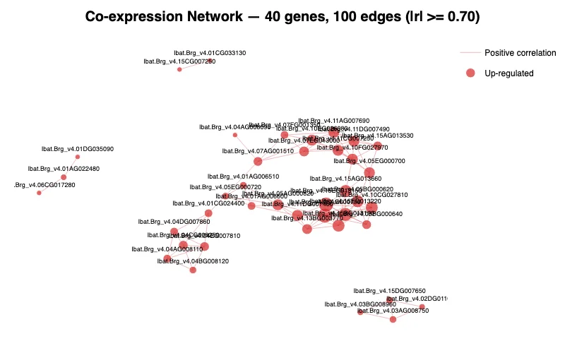 Co-expression network — example output