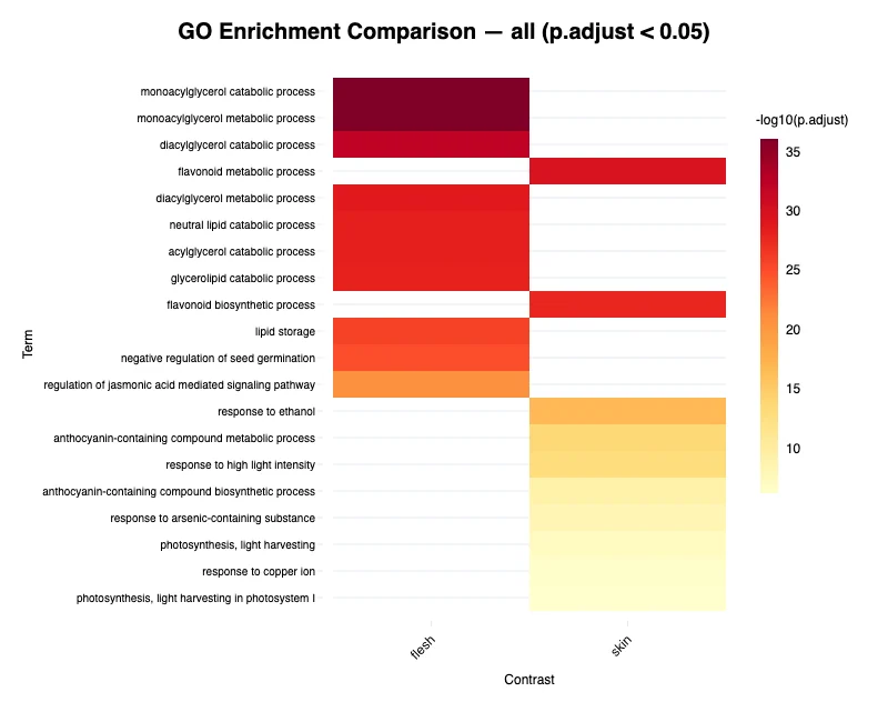 Enrichment comparison heatmap — example output