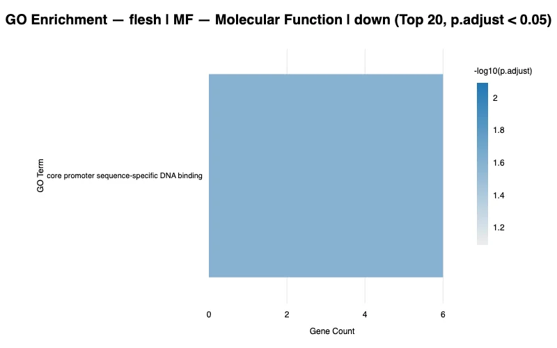 GO enrichment — example output