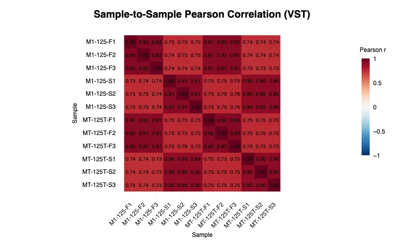 Sample-to-sample correlation heatmap — example output