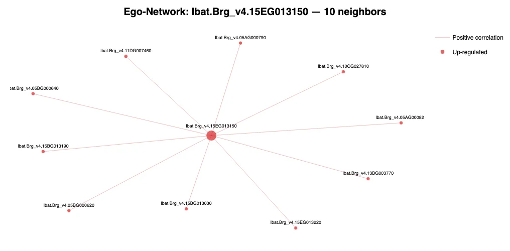 Hub gene ego-network — example output