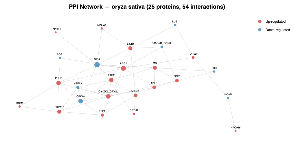 PPI network — example output