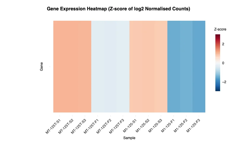 Gene expression heatmap across samples